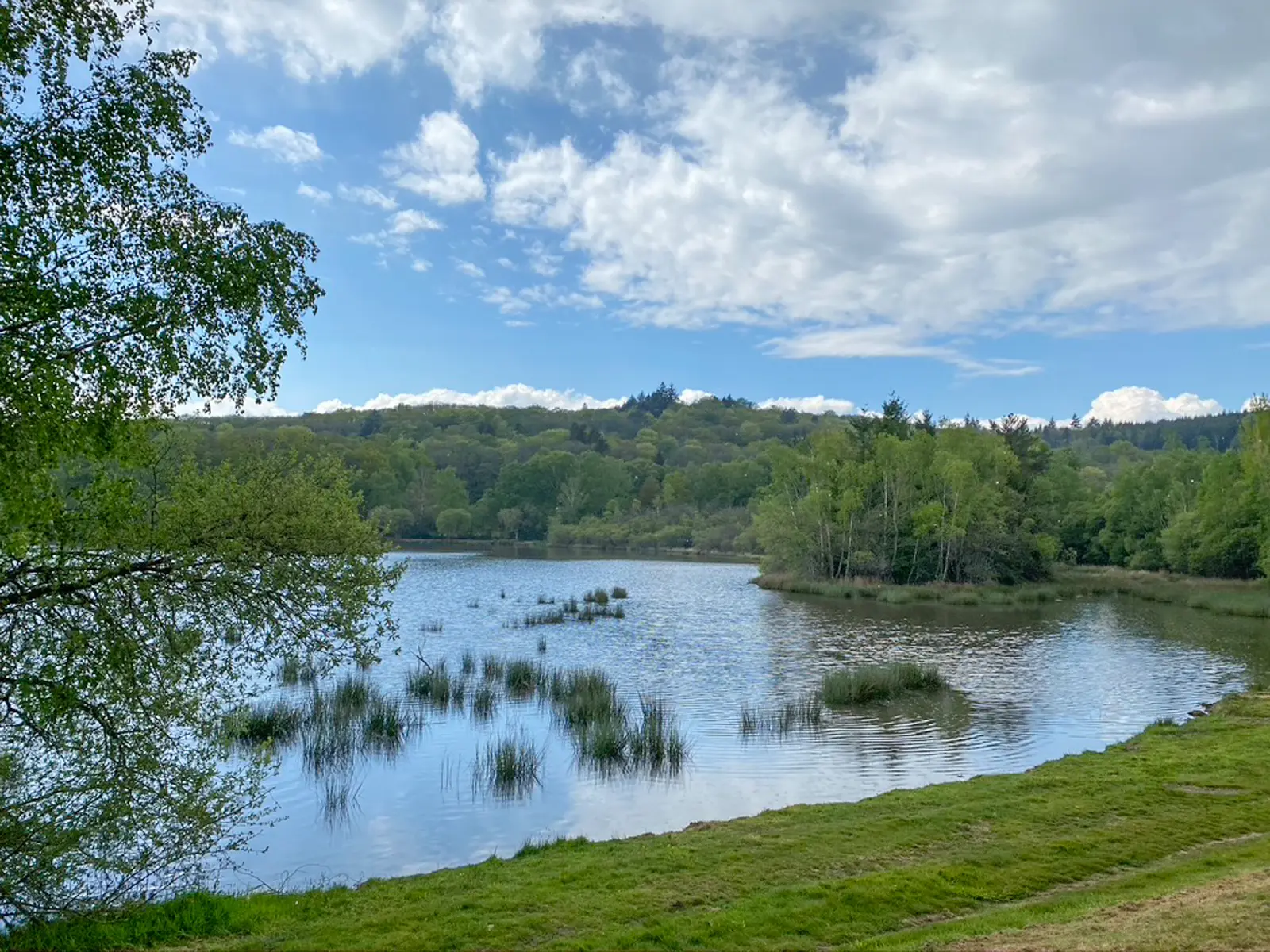 Etang de Mortemare Bonnac BD© Sabine Massé