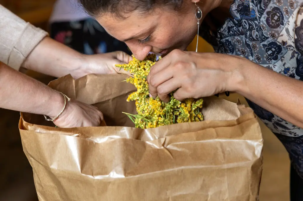 Foret jardin du petit Chavanat (2)