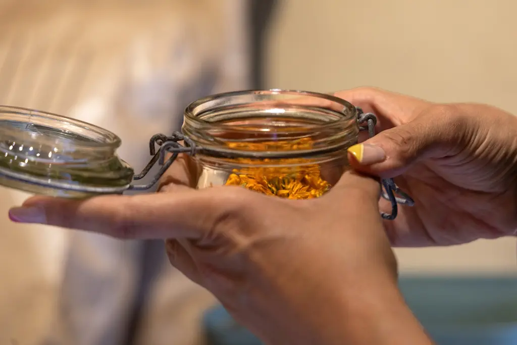 Foret jardin du petit Chavanat (6)