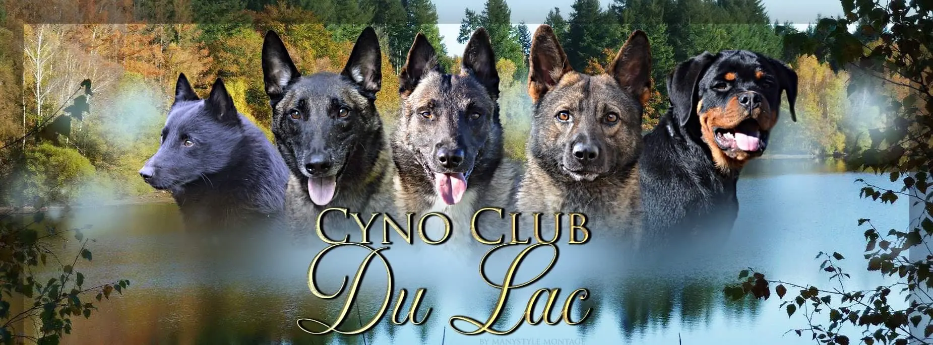 Bannière club