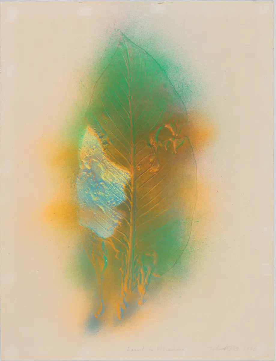 Tetsumi Kudo, Fossil in Hiroshima, 1976. Collection Artothèque