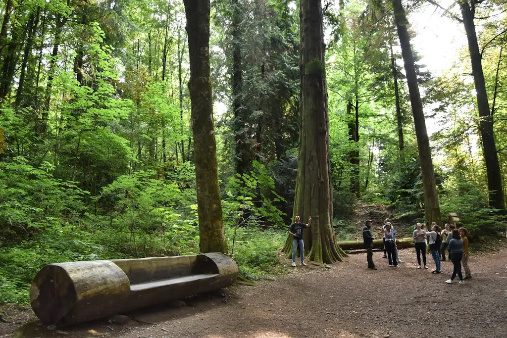 LA JONCHERE Arboretum