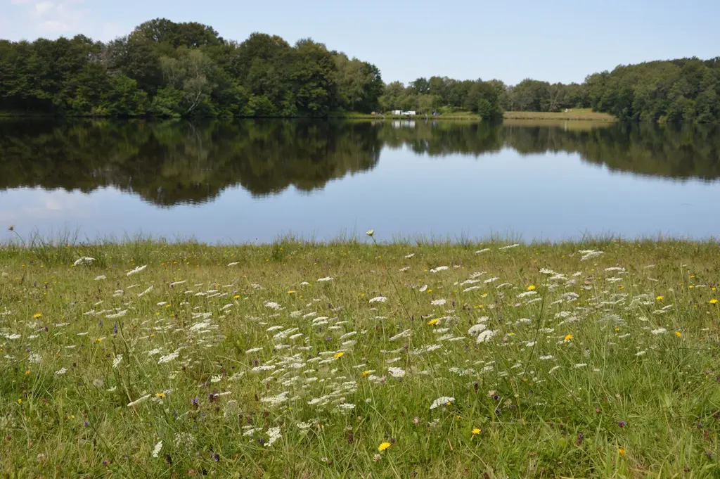 LAURIERE Lac du  Pont à l'âge