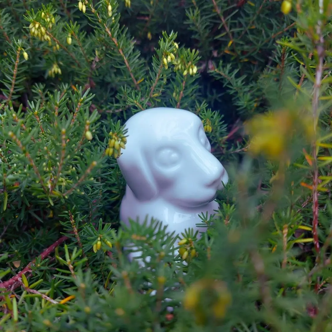 Mon merveilleux jardin de porcelaine
