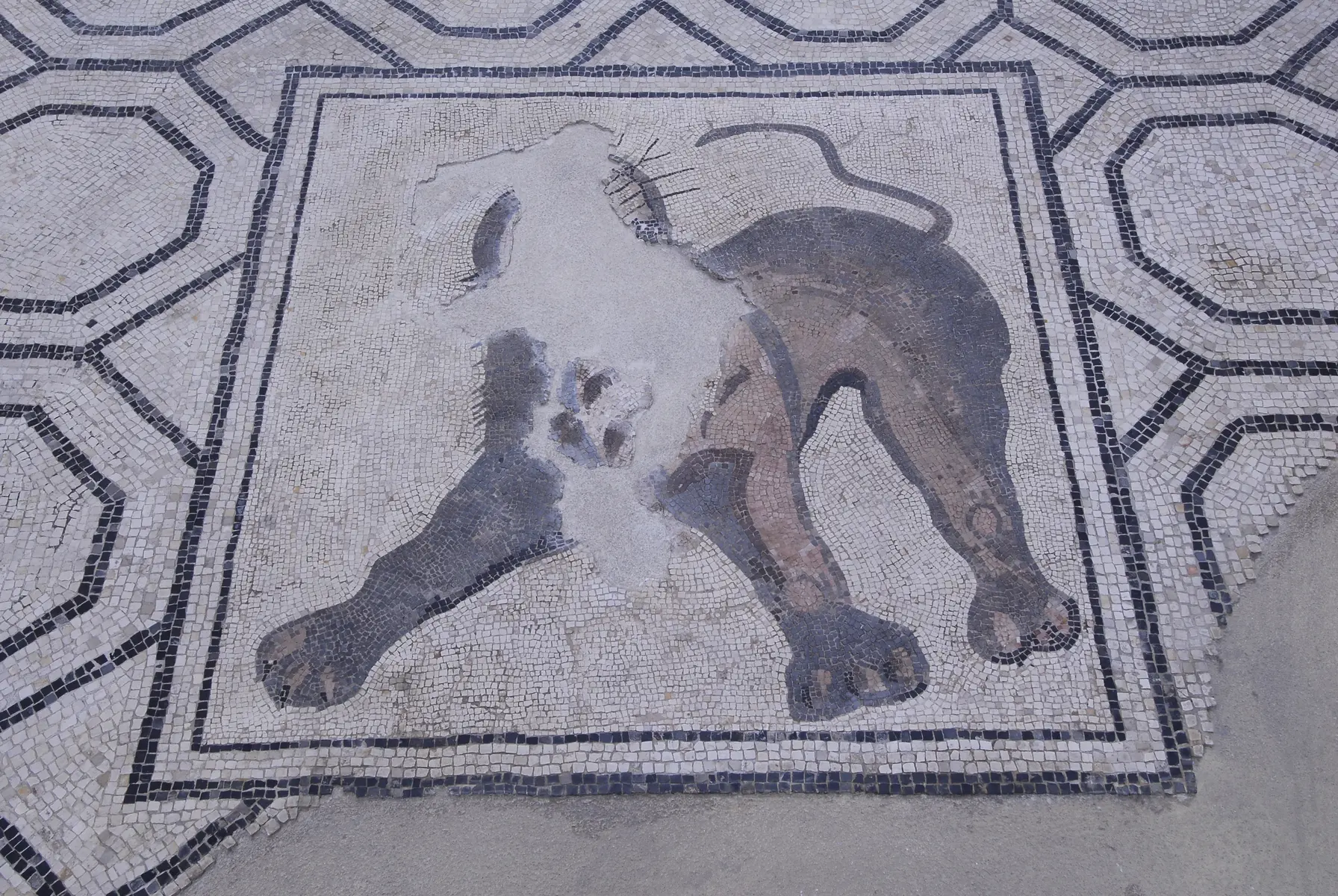 Mosaïque