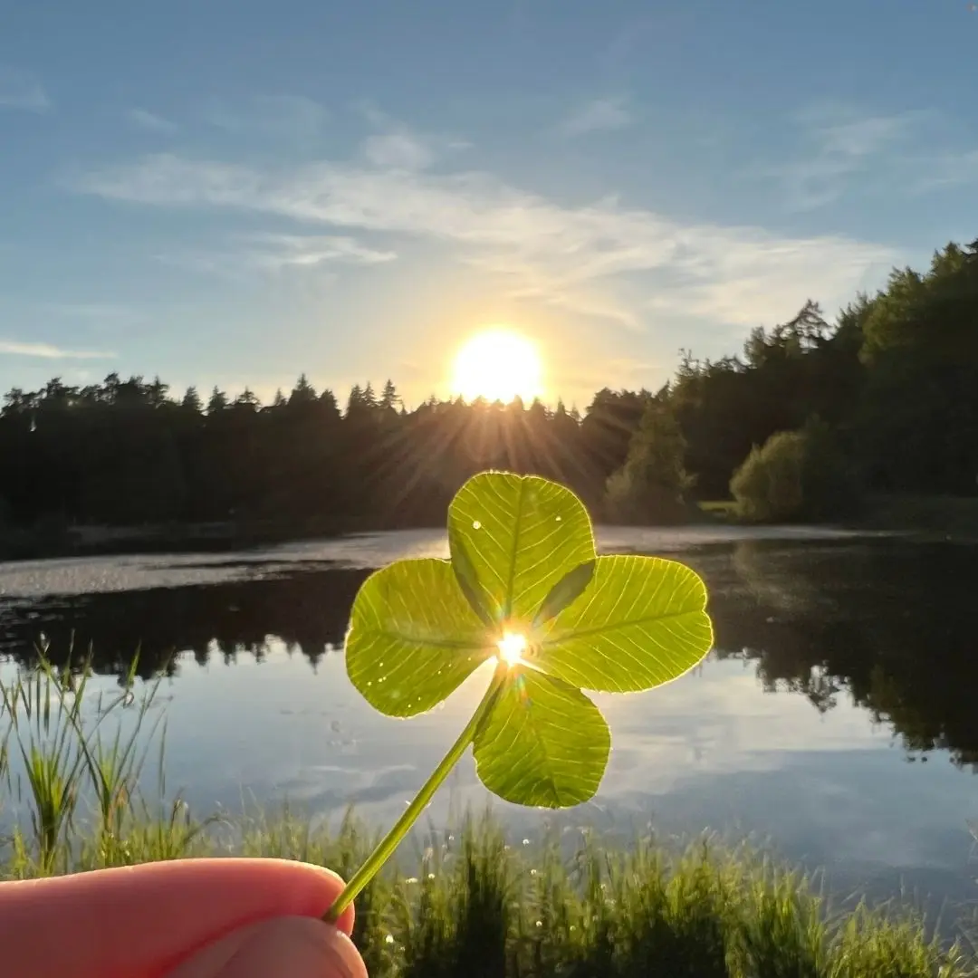 Atelier décor sur porcelaine
