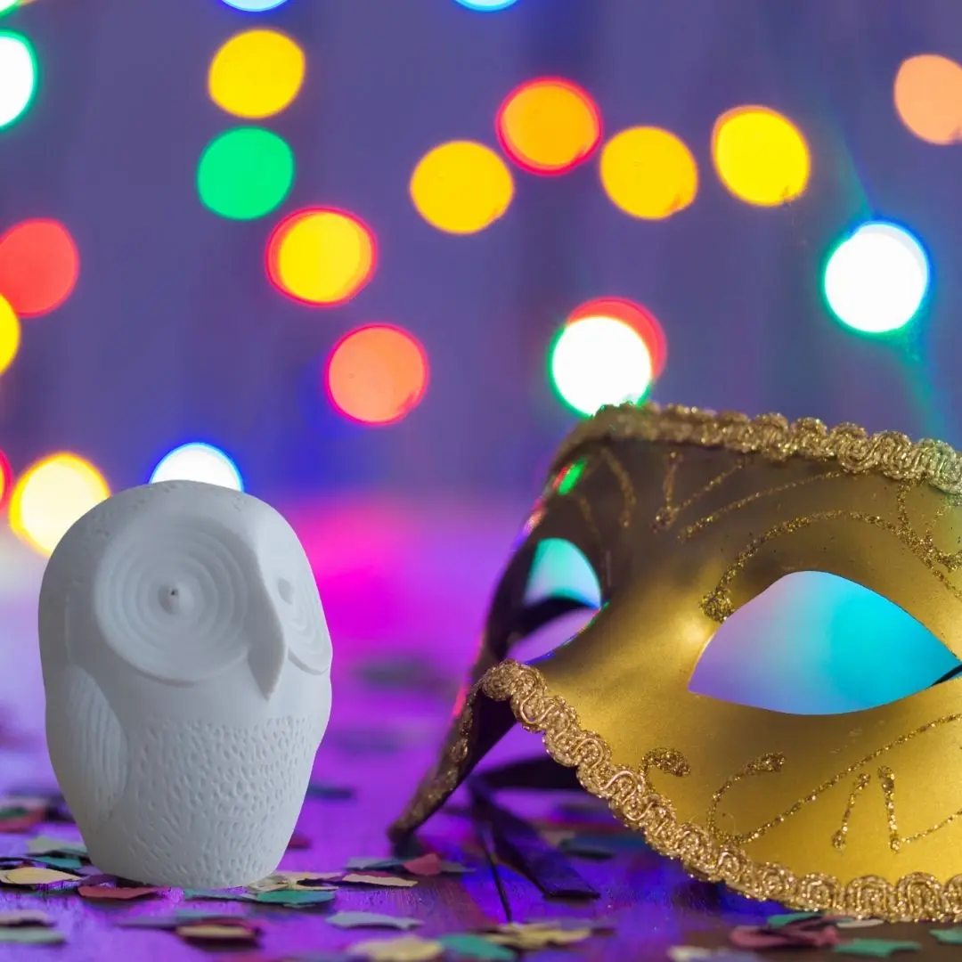 Tournette la chouette se déguise