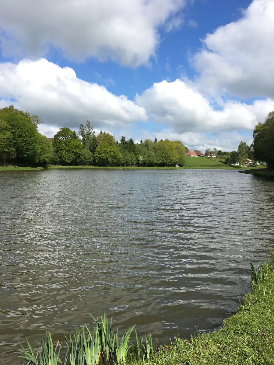 Plan d'eau de St pardoux-Corbier ©L Golfier