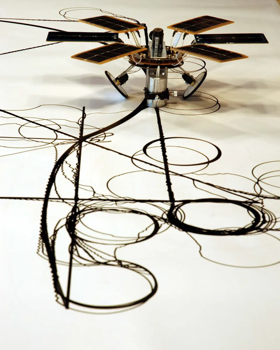 Fabrice Cotinat, Confusion 1994 - 2005.