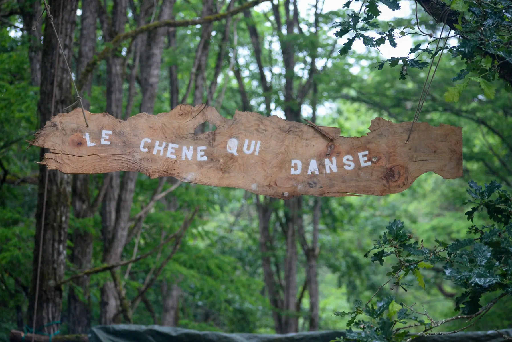 Sébastien Mahieuxe