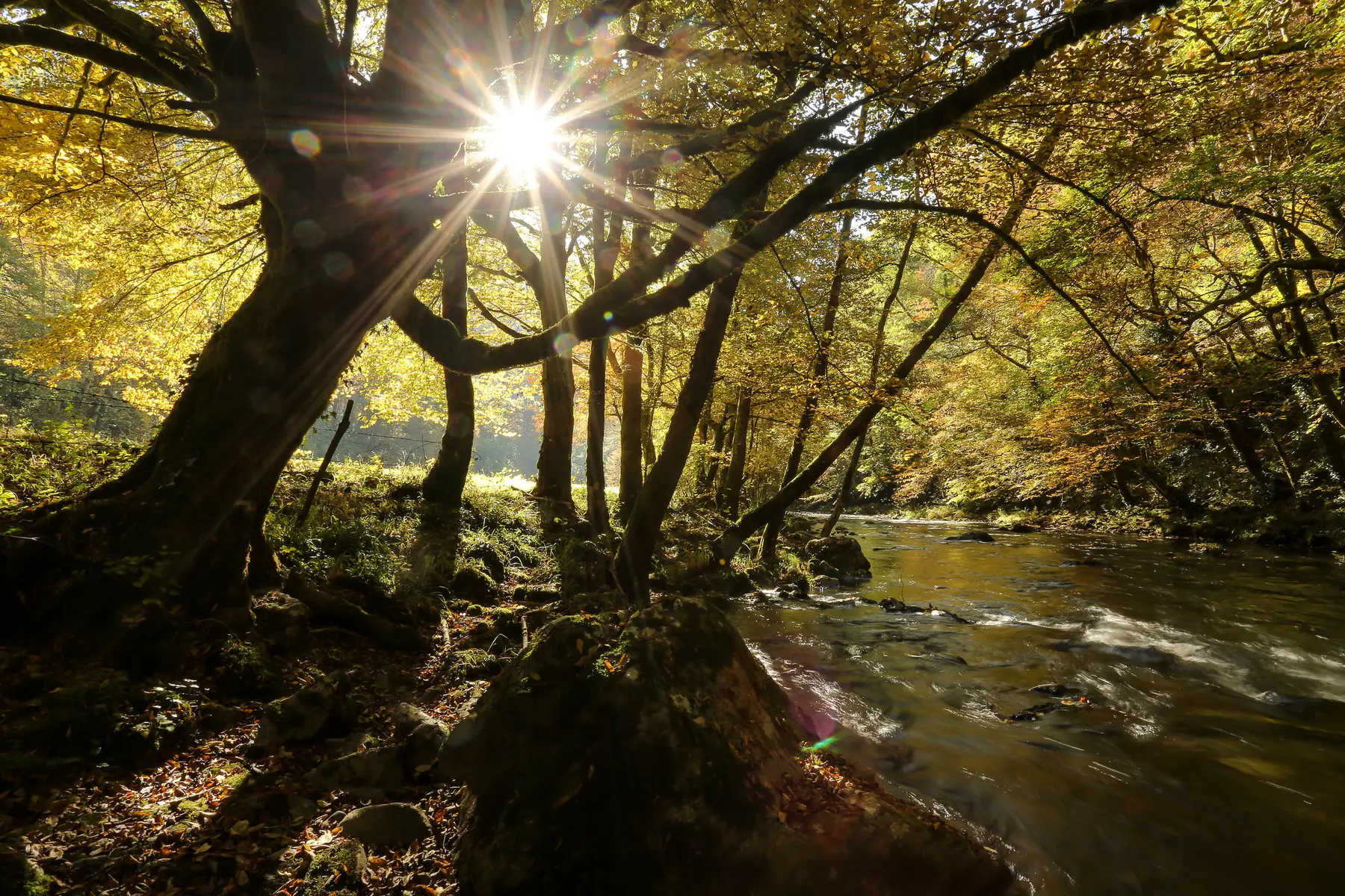 St_hilaire_foissac_nature-2016 (4)