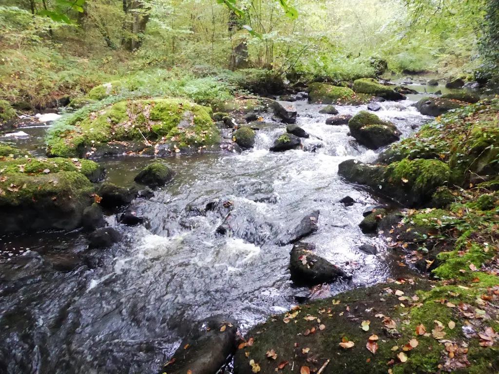 Ruisseau Thouron