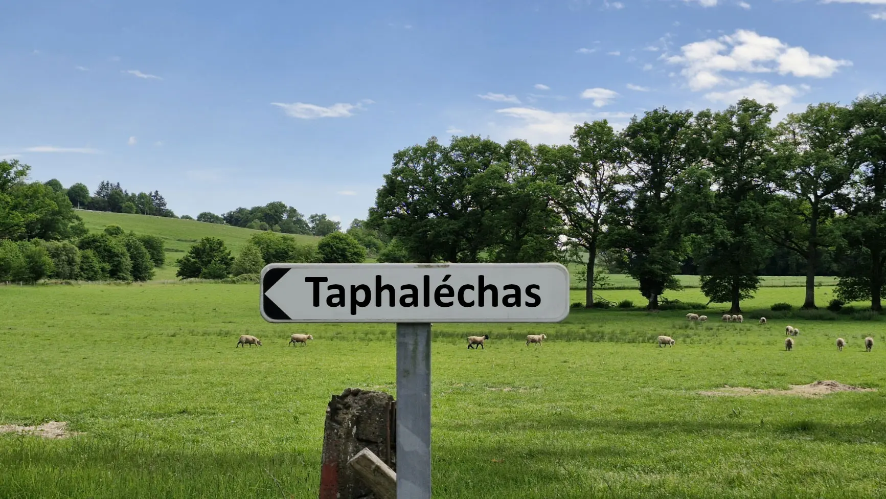 Taphapanneau