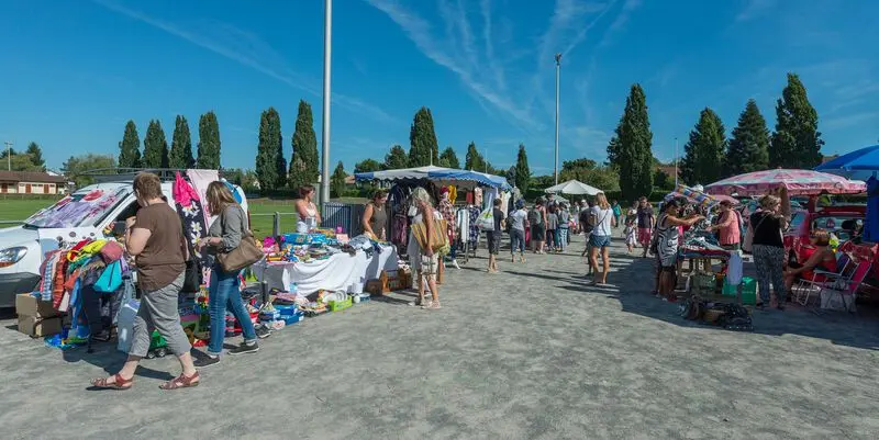 VDL_026481_BD