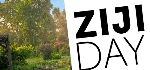 Visuel_Ziji Day