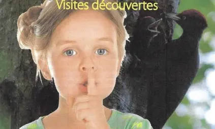 Visuel secrets d'été 2024