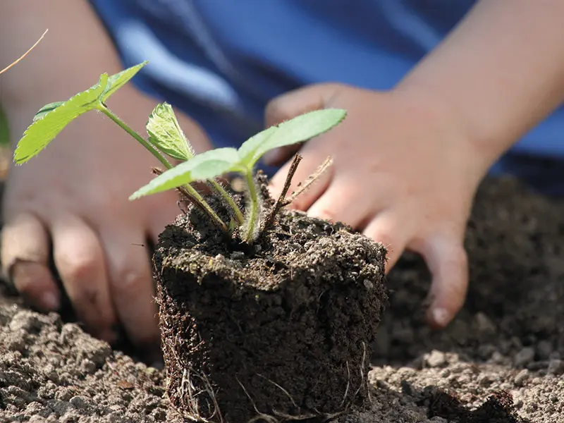 journée-des-pépiniéristes-chalus