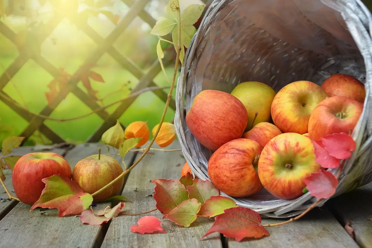 Fête de l'automne Le Chalard