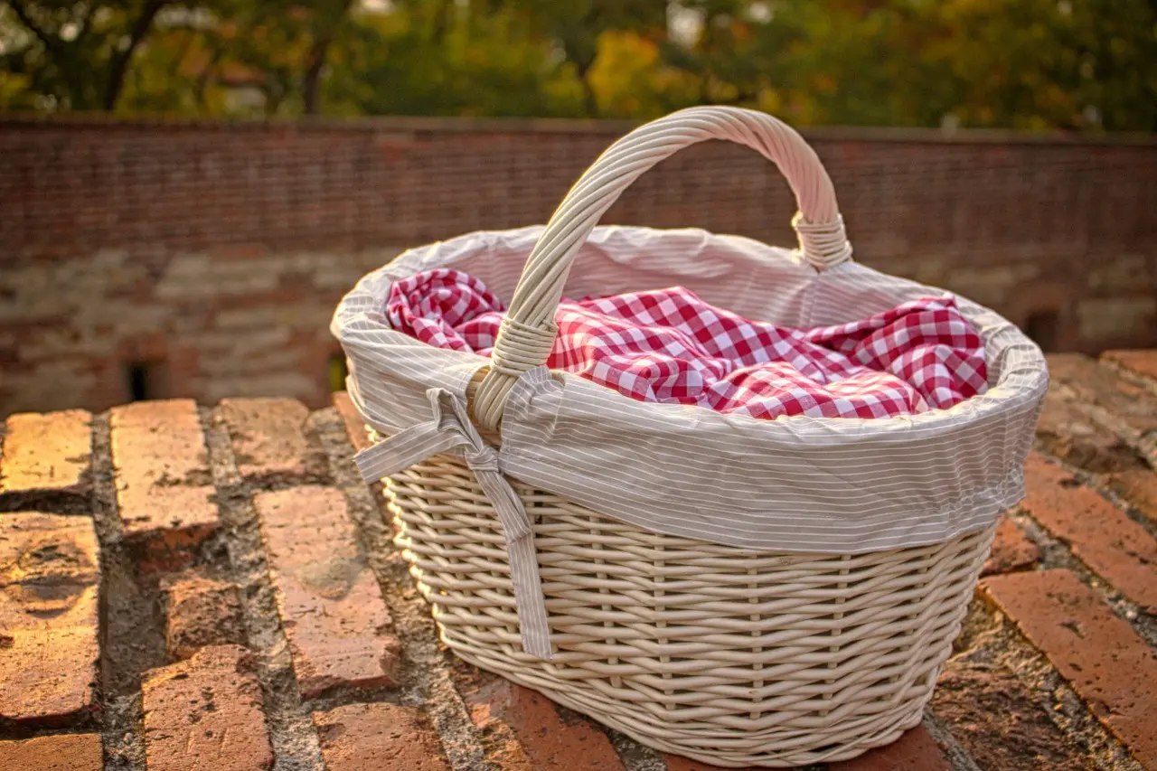 basket-2594872_1280