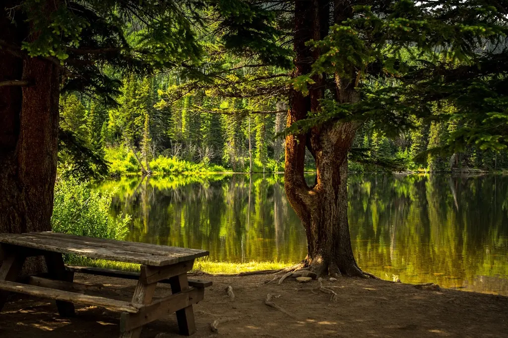 Table de pique nique