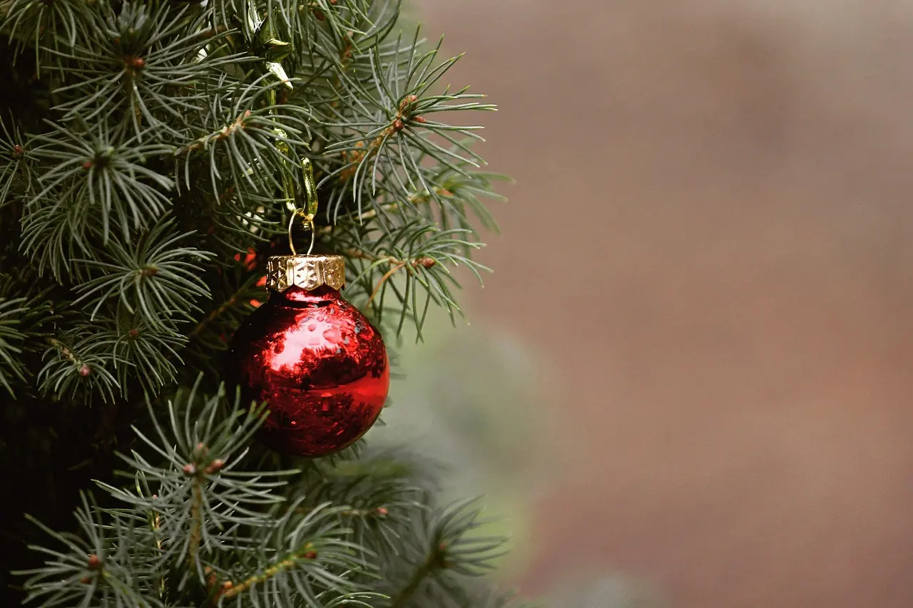 christmas-4704707_1280 (1)