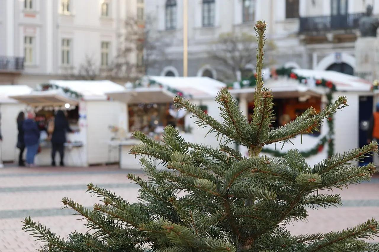 Marché de Noël