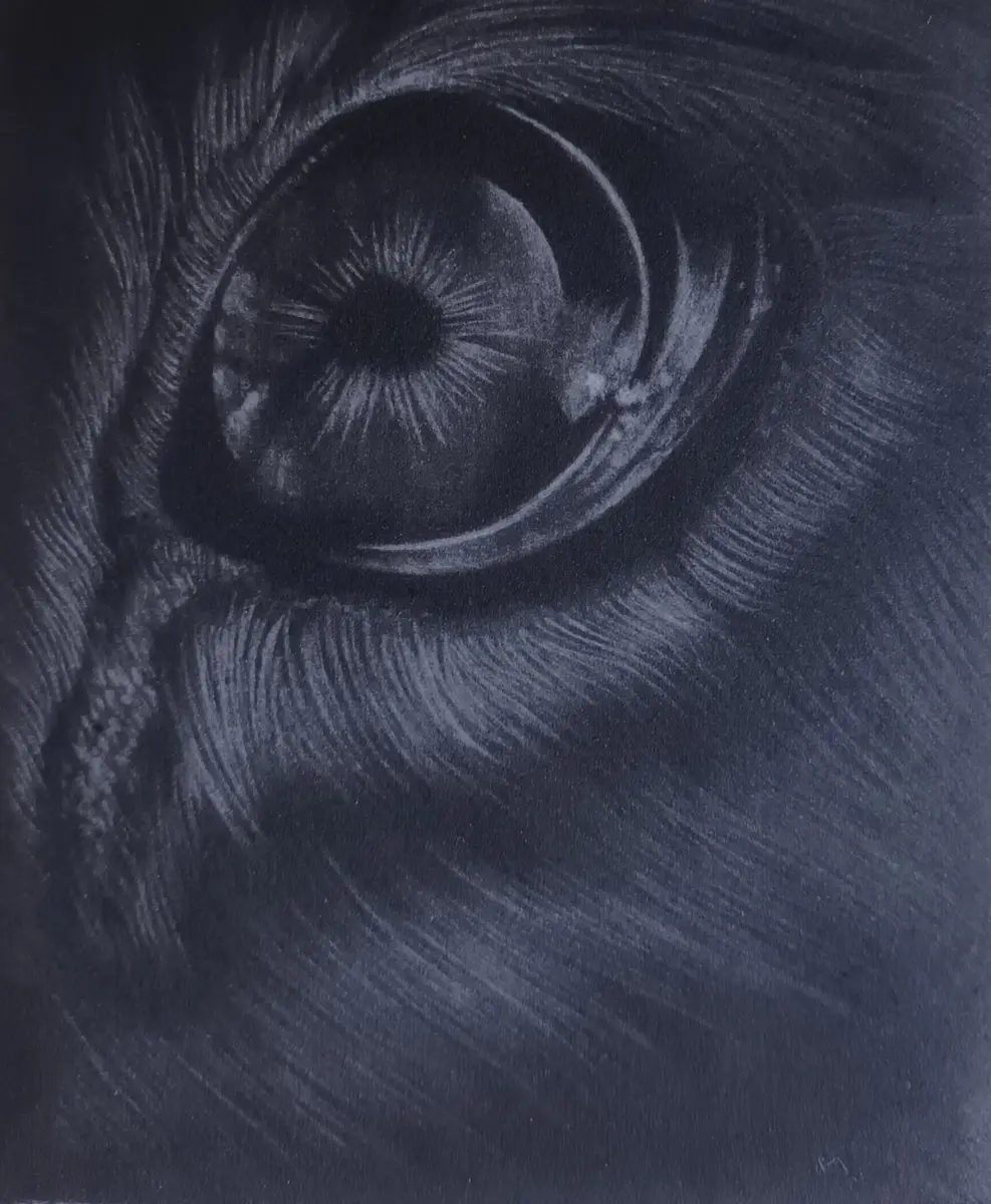 csm_gravure1_73ddd73687