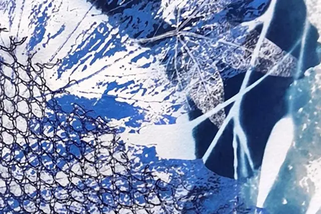 cyanotype