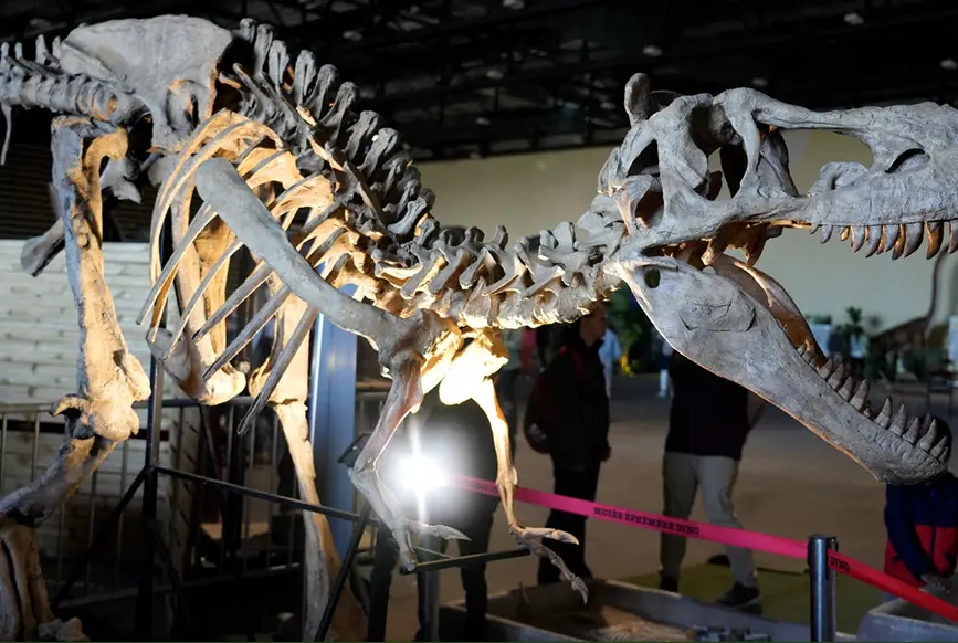 dino