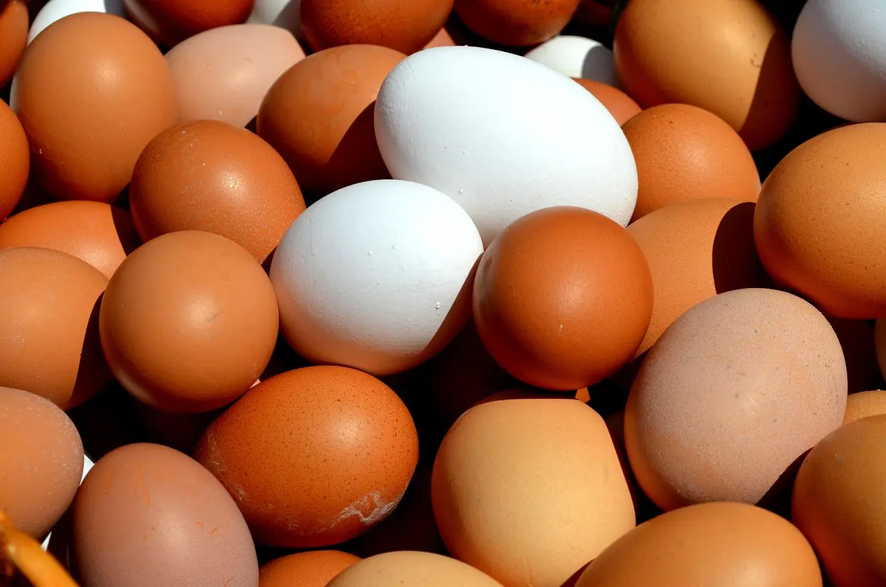 egg-2580904_1280