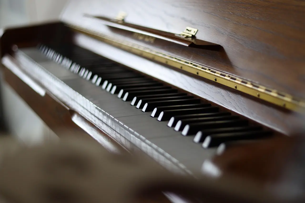 fabian-duck-piano
