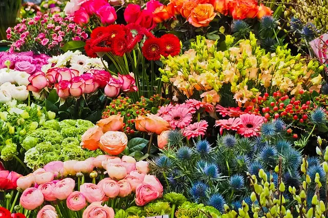 flower-3231099_640