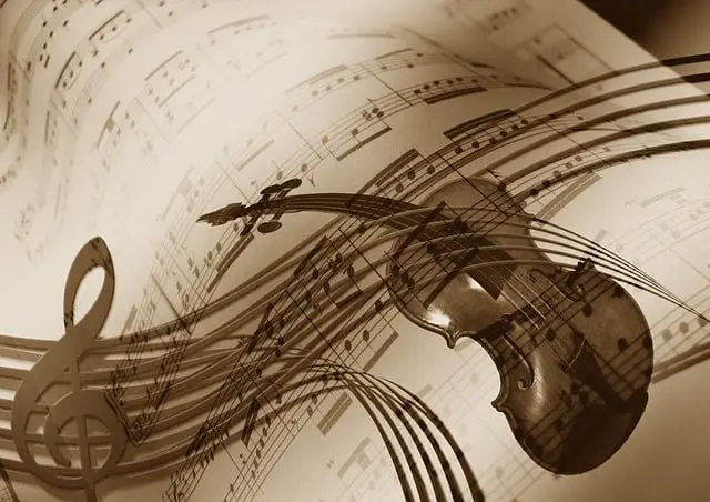 violon