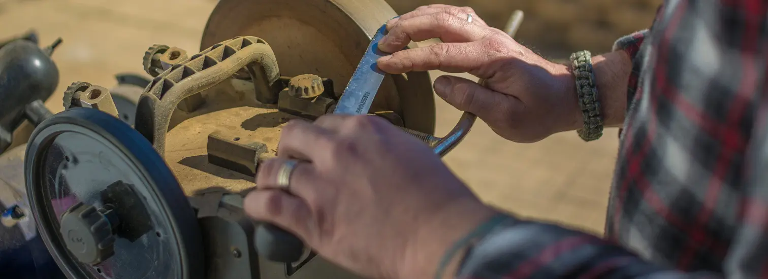 header_oc_gerardgoncalves