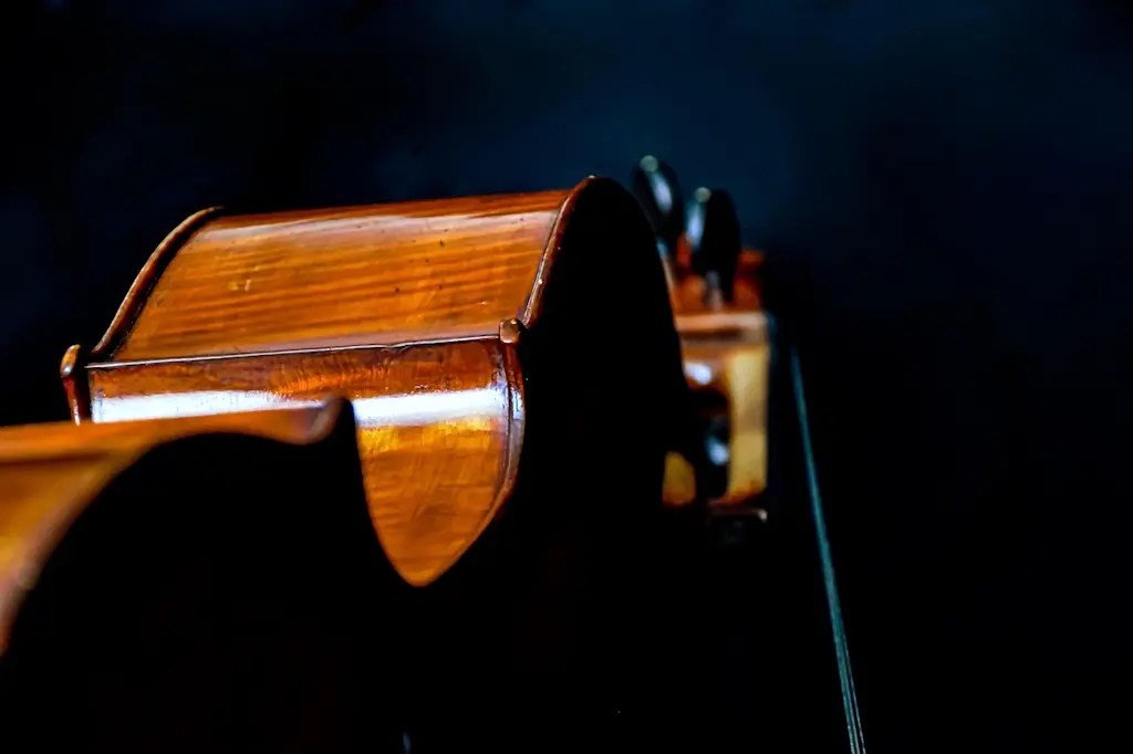 violoncelle