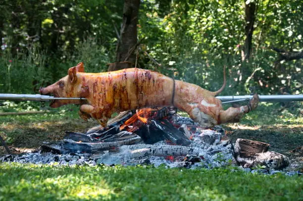 istockphoto-cochon à la broche