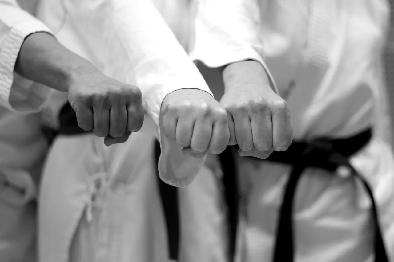 Compétition kata par équipe