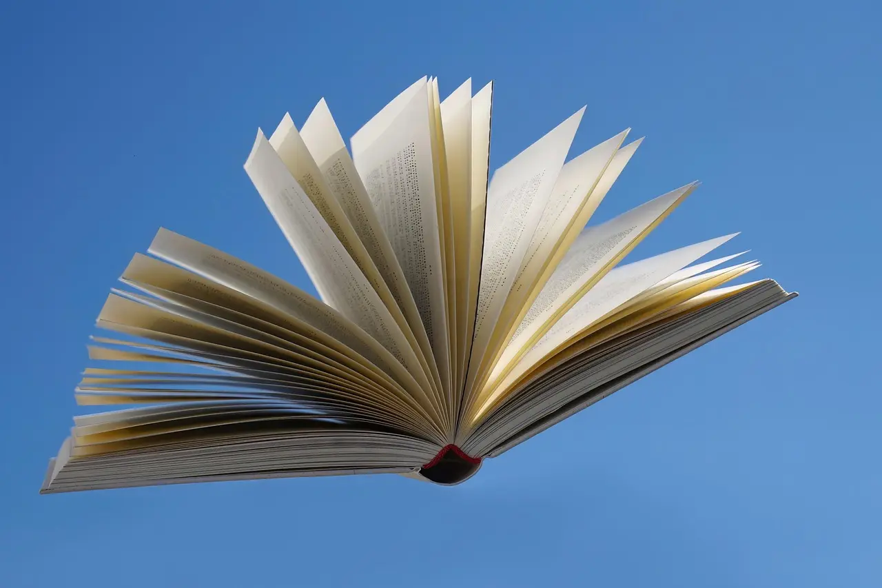 kranich17-book-8664639_1280