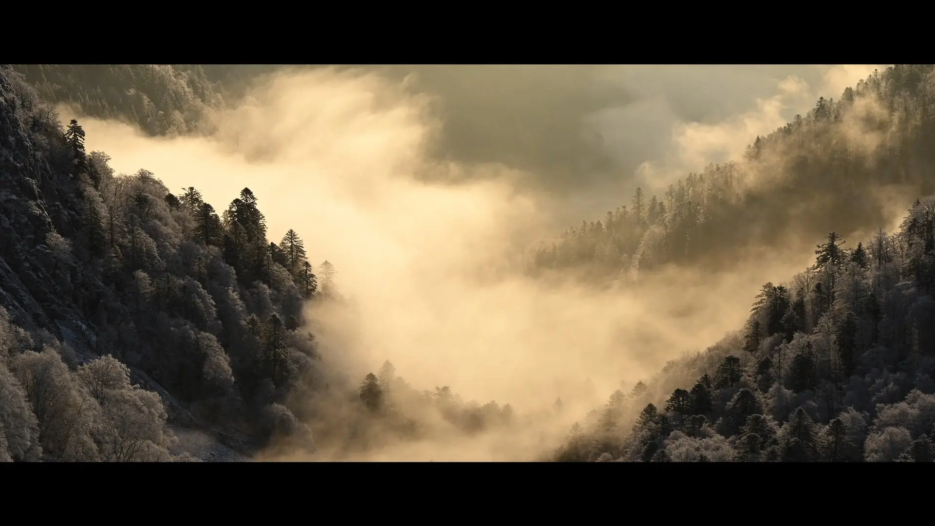 lcdf_promov06_241211.mp4_snapshot_02.31.200