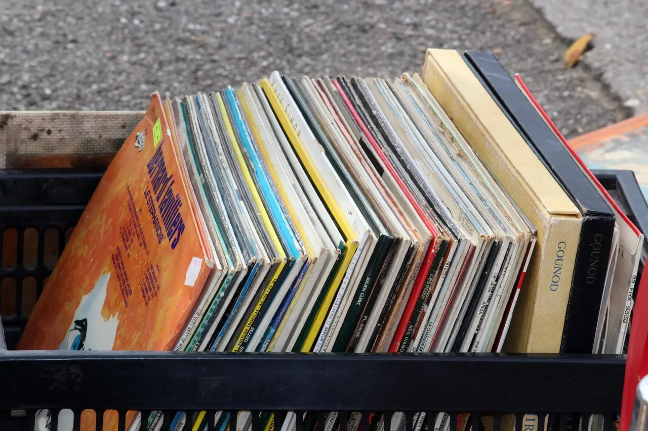 ludex2014-vinyl