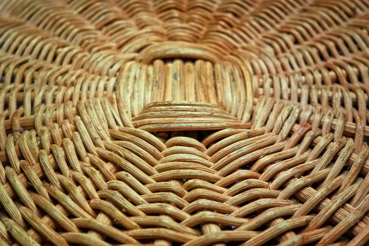 mabelamber-reed