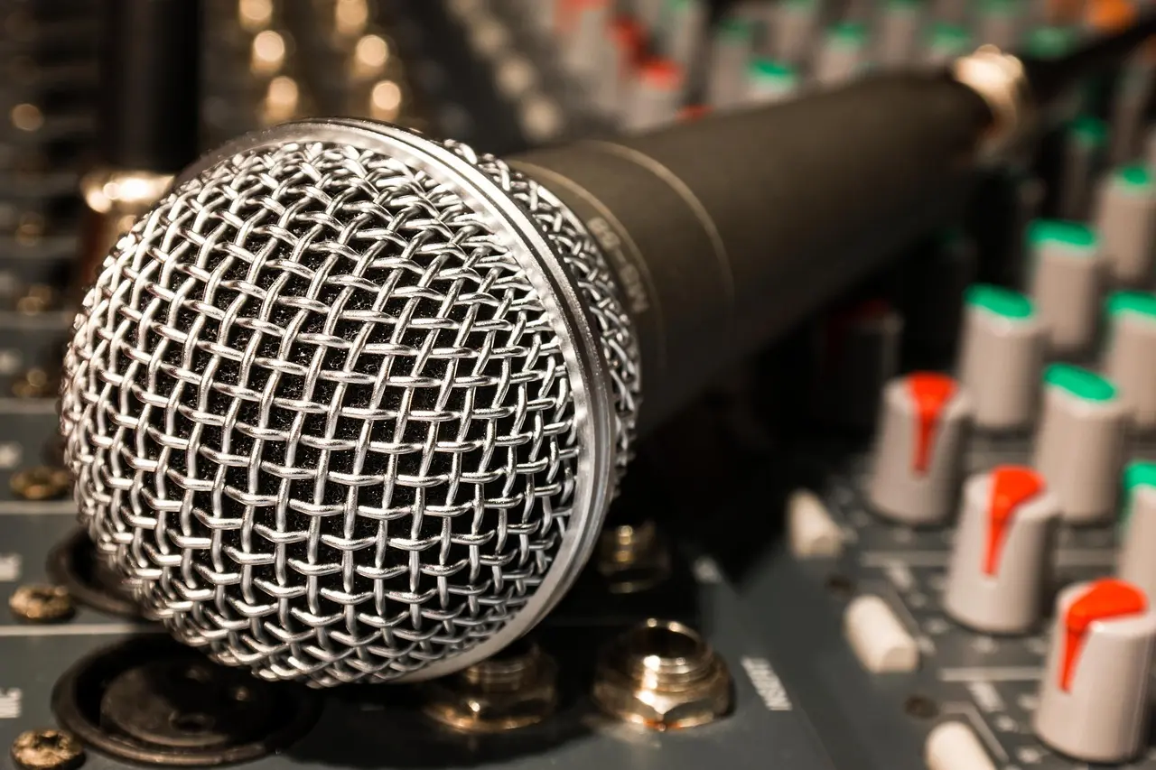 microphone (2)