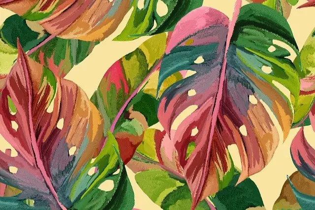 monstera-8477880_640