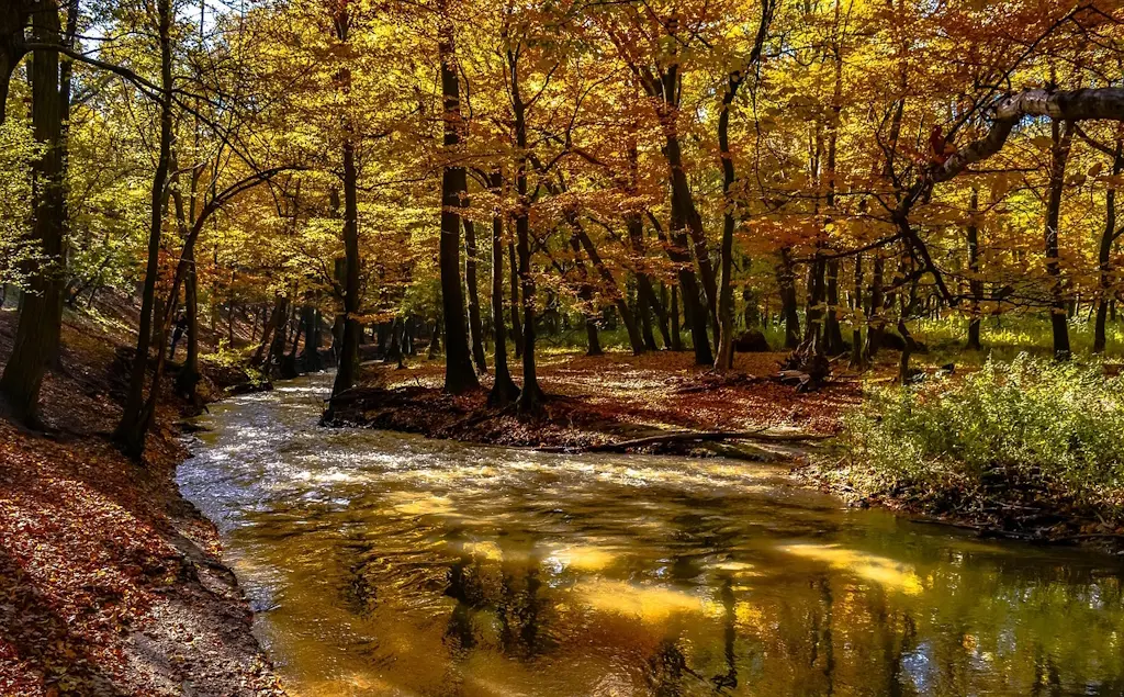 rivière