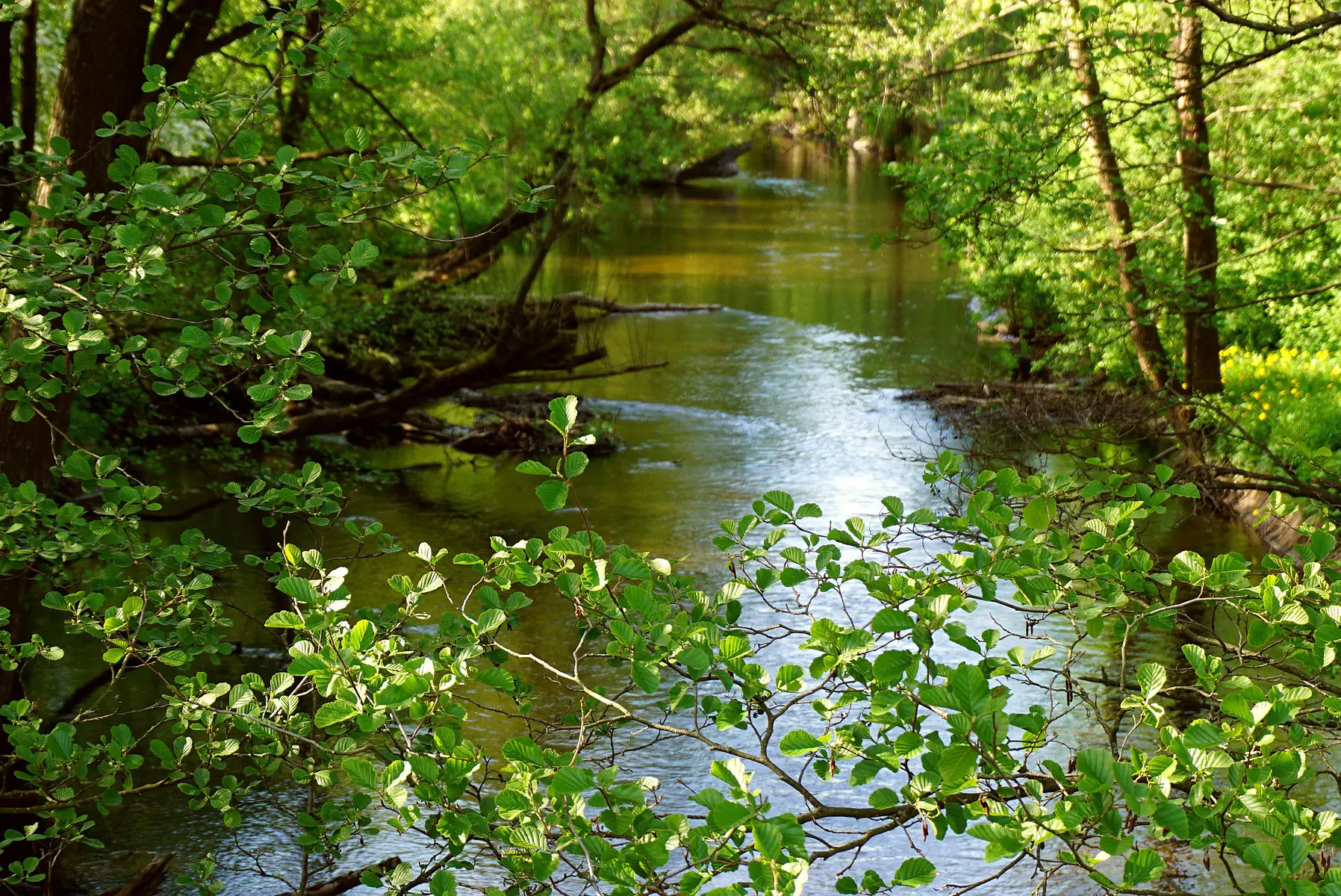Rivière