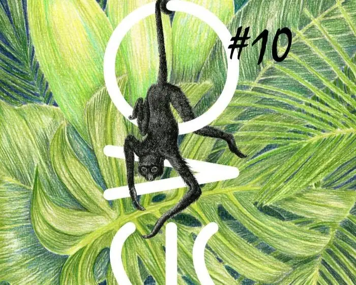 oasis10