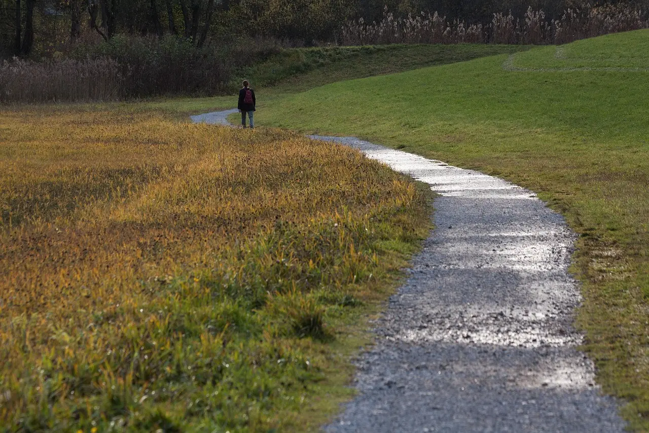 path-2