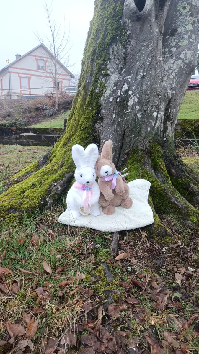 Chasse aux oeufs CG87 2026