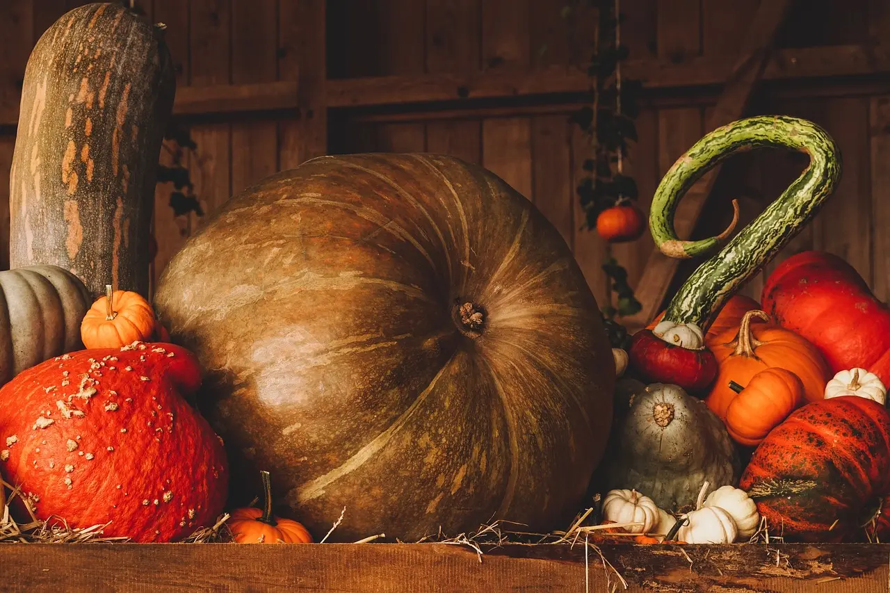 pumpkin-