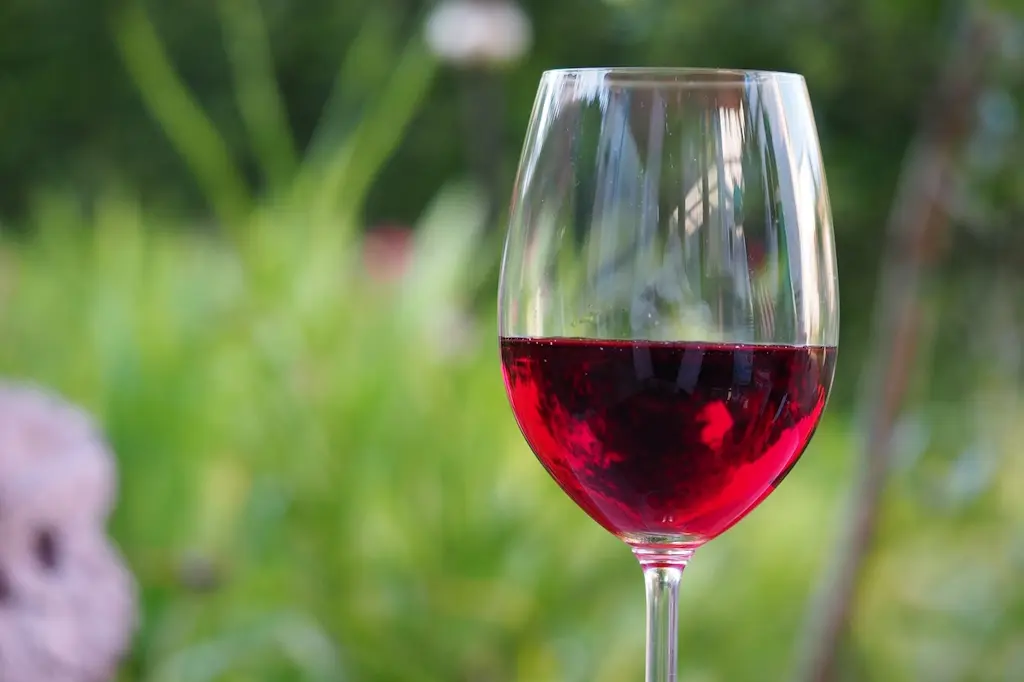 Beaujolais nouveau
